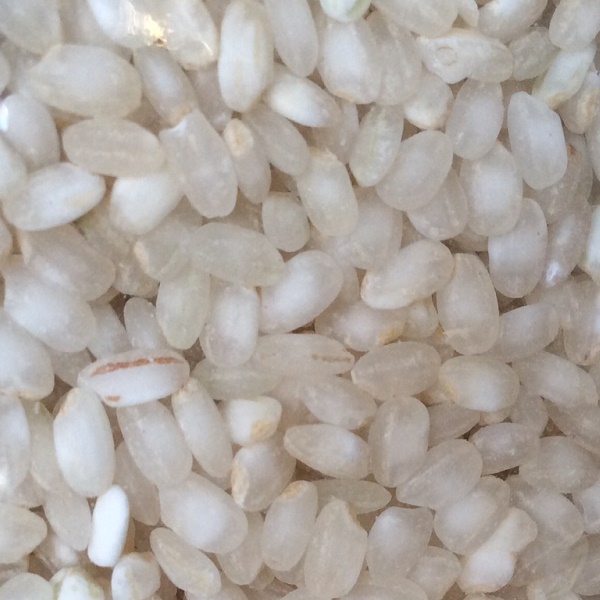 organik beyaz pirinç